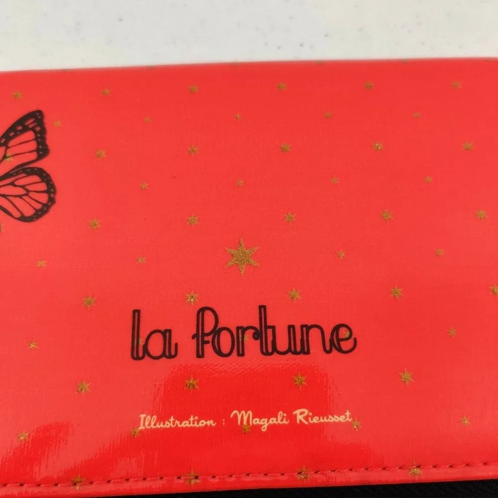 Derriere LA Porte Paris Clutch Wallet la fortune illustration by Magali Rieusset